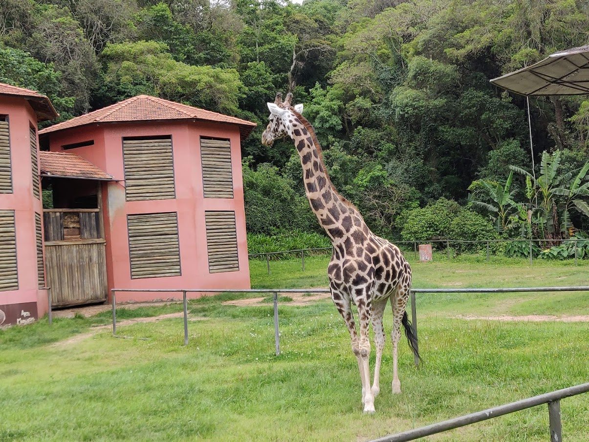 Morar em Curitiba? Vale a pena morar em Curitiba?