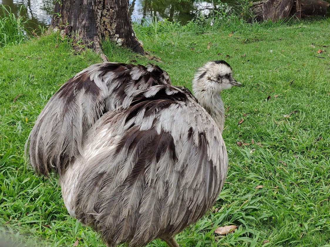 Morar em Curitiba? Vale a pena morar em Curitiba?