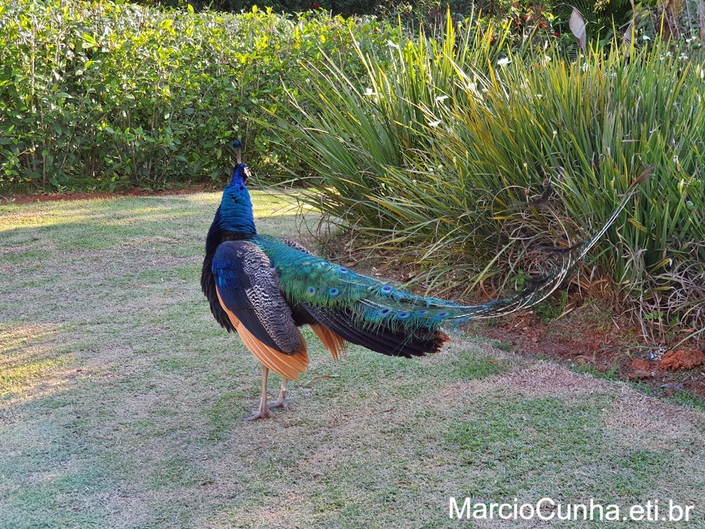 Duvidas Viagem ao Beto Carrero World