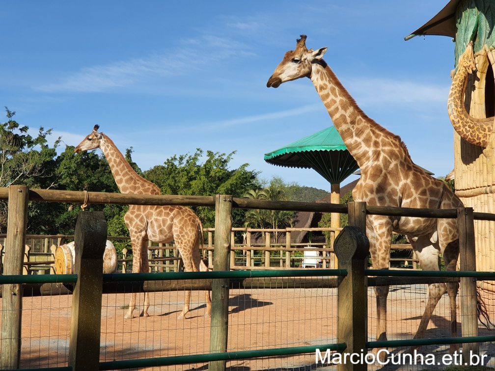 Duvidas Viagem ao Beto Carrero World